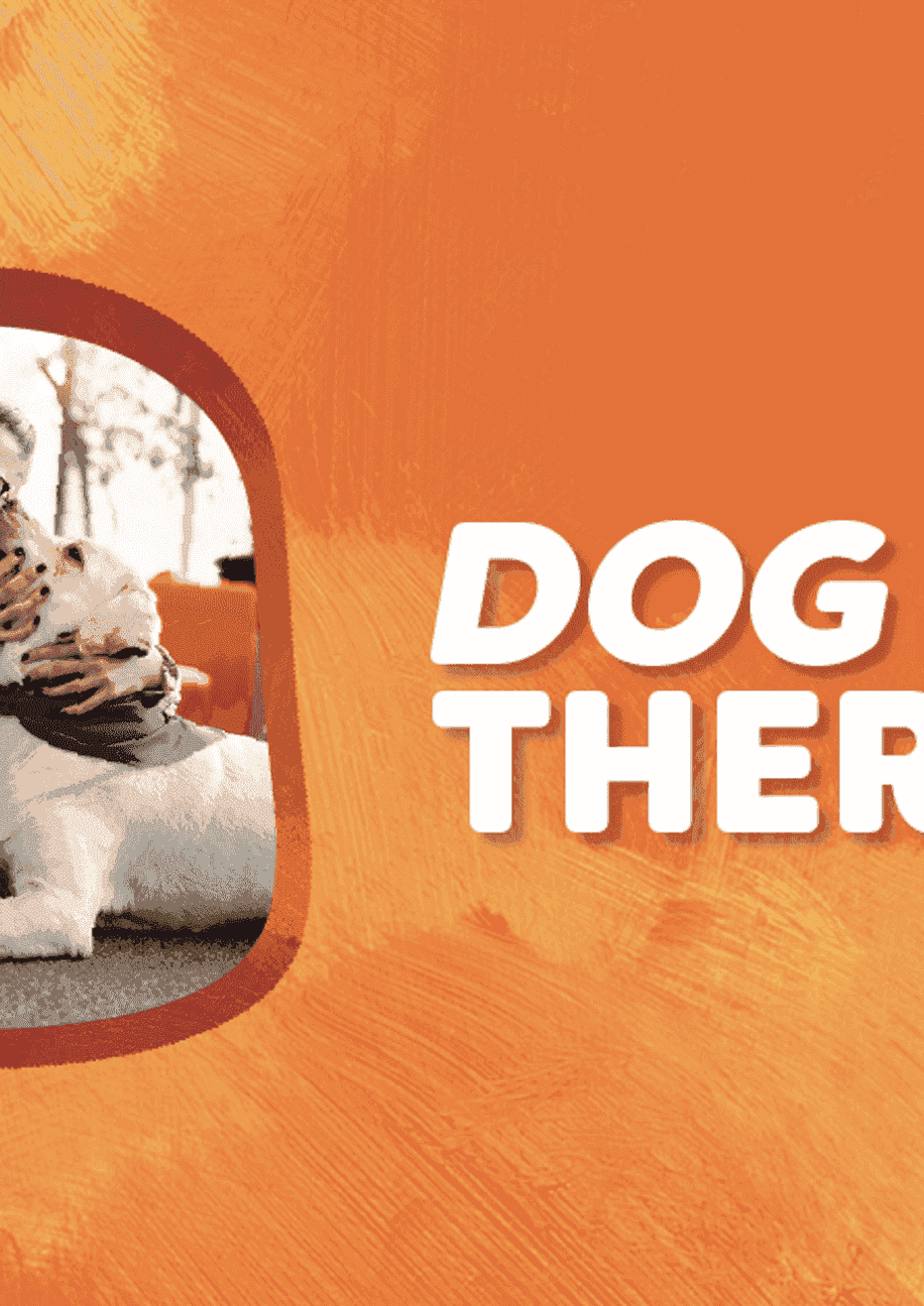Dog Therapy (Bay Campus)